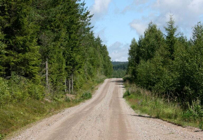 Offentlig høring – Forslag om overføring av vedlikeholdsansvar for kommunale veger i Hitra kommune